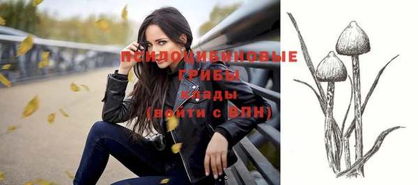 винт Инсар