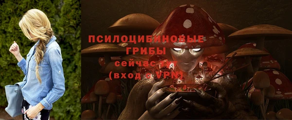 винт Инсар