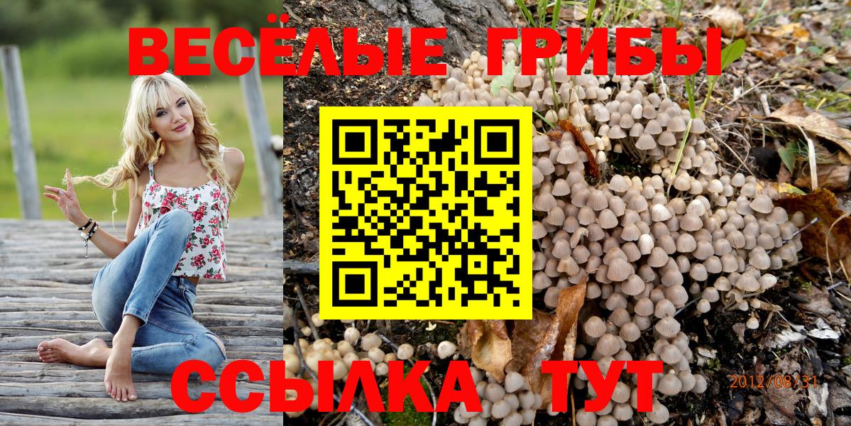 Псилоцибиновые грибы ЛСД Лениногорск